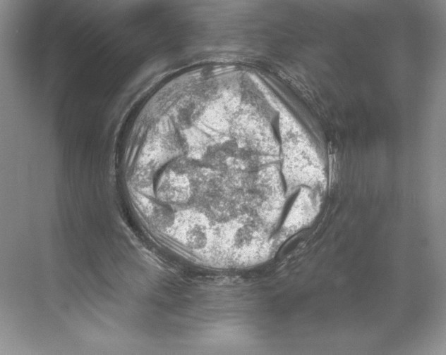 X0000068830243200606021650