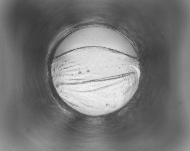 X0000068830245200606021650