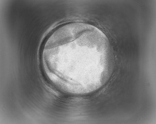 X0000068830246200606021650