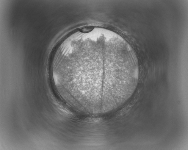 X0000068830247200606021650