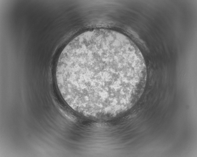 X0000068830250200606021650