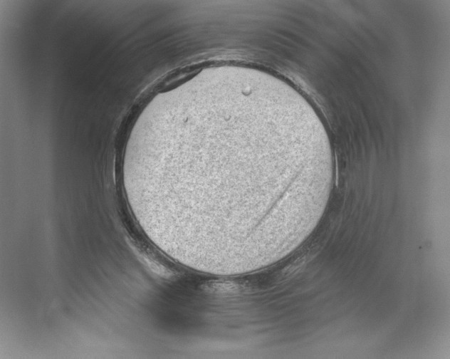 X0000068830253200606021650