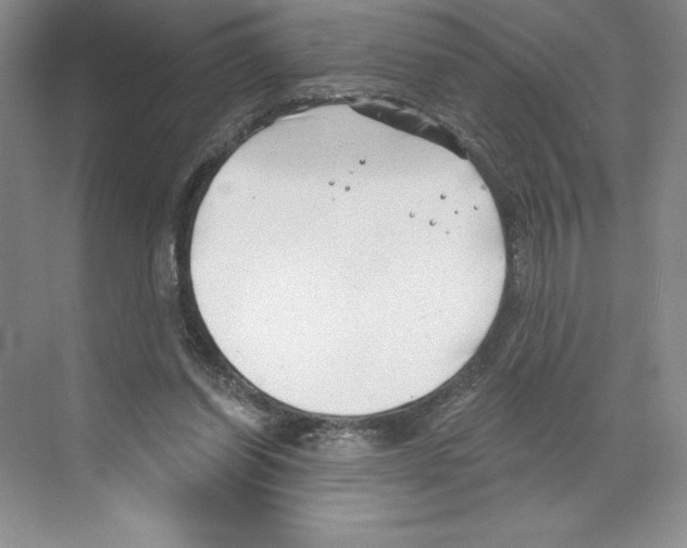 X0000068830254200606021650