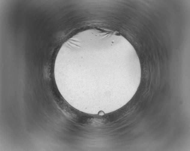 X0000068830255200606021650