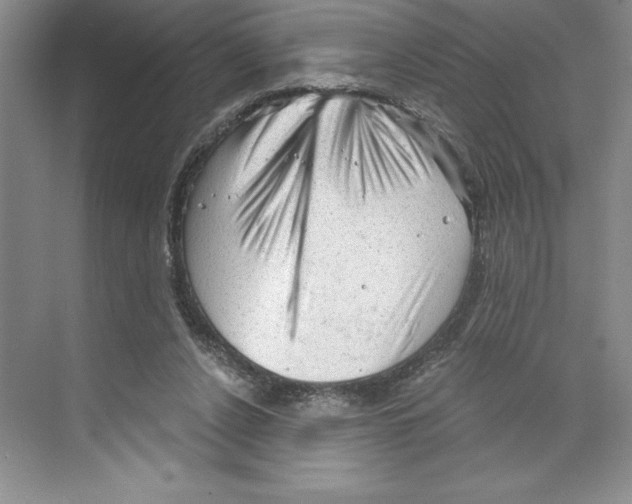 X0000068830256200606021650