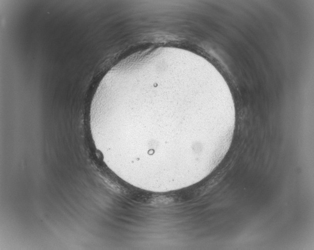 X0000068830257200606021650