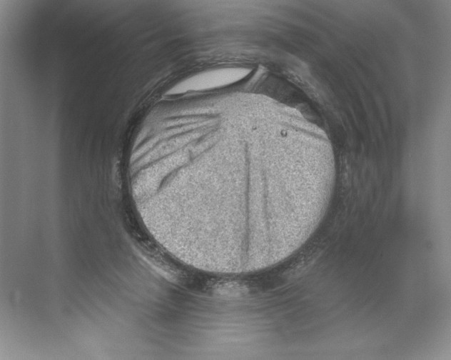 X0000068830258200606021650