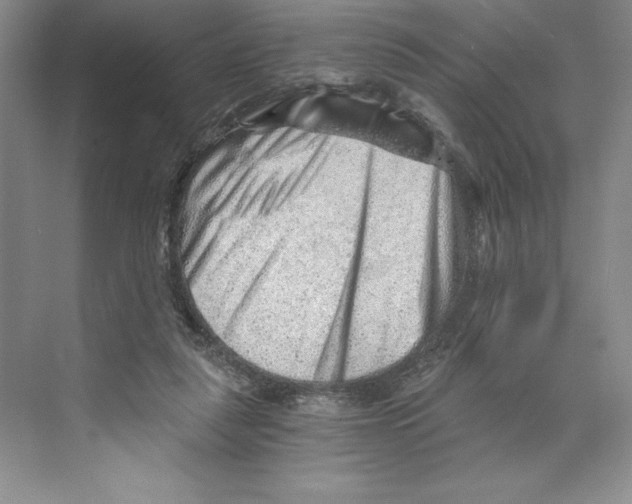 X0000068830259200606021650