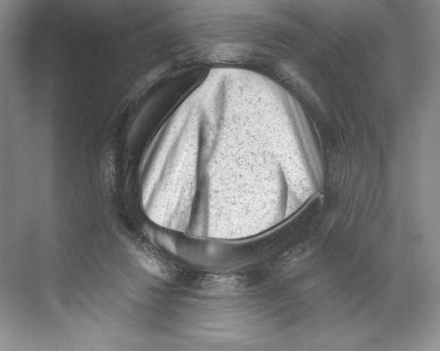 X0000068830260200606021650