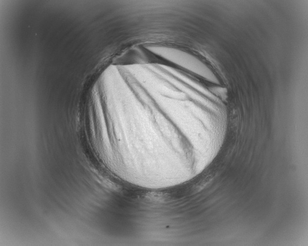 X0000068830261200606021650