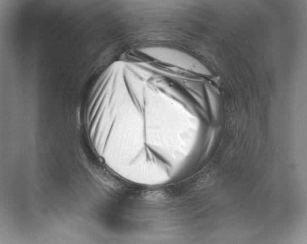 X0000068830262200606021650