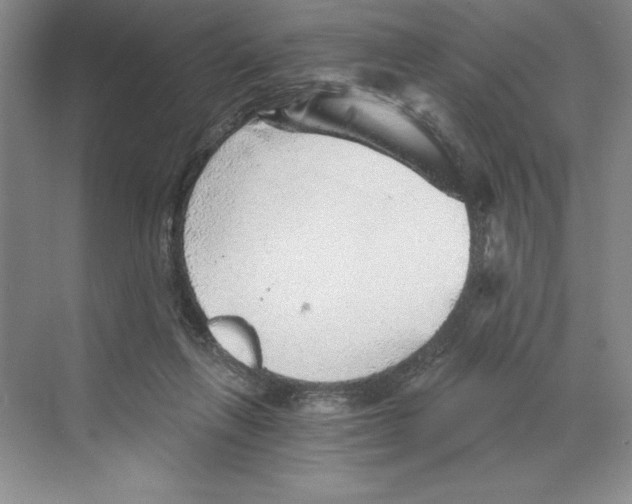 X0000068830263200606021650