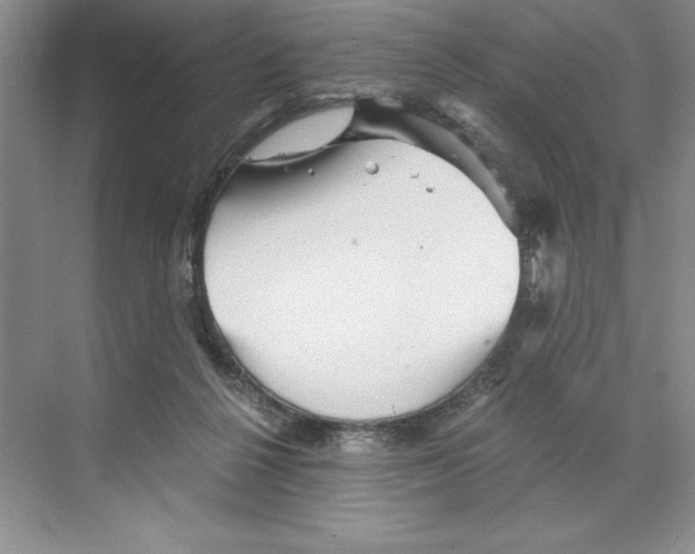 X0000068830264200606021650