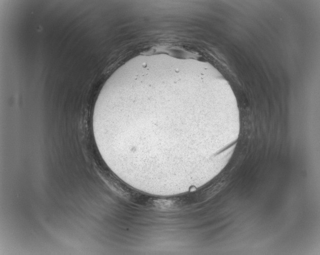 X0000068830265200606021650