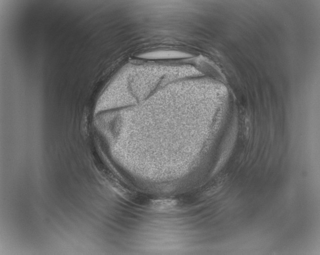 X0000068830266200606021650