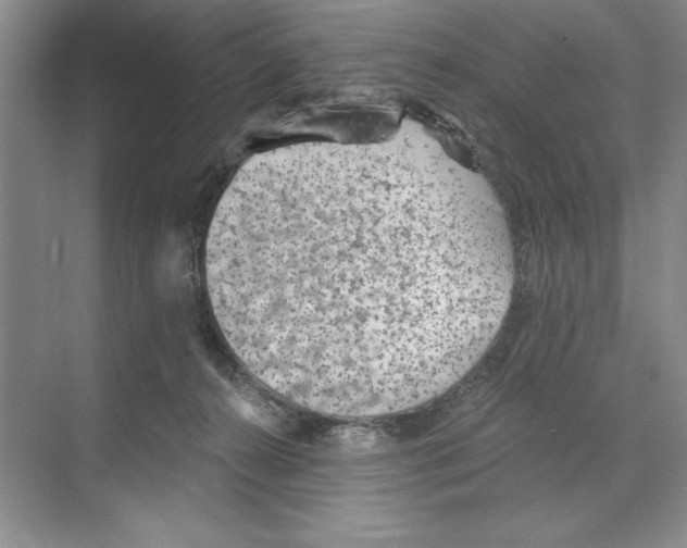 X0000068830272200606021650