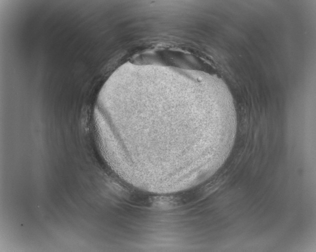 X0000068830273200606021650