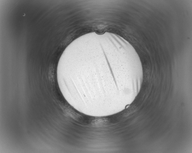 X0000068830274200606021650