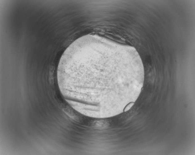 X0000068830275200606021650