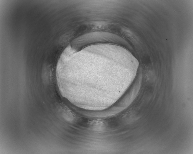 X0000068830276200606021650