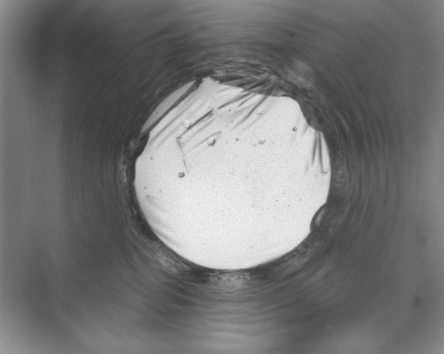 X0000068830282200606021651