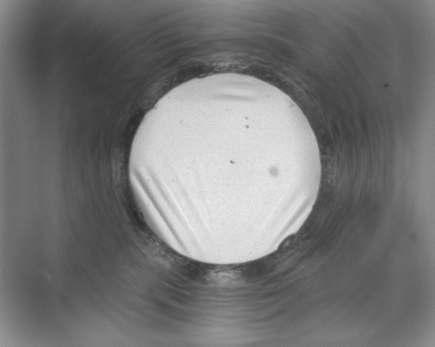 X0000068830283200606021651