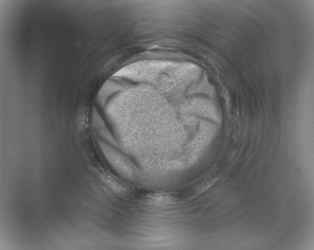 X0000068830284200606021651