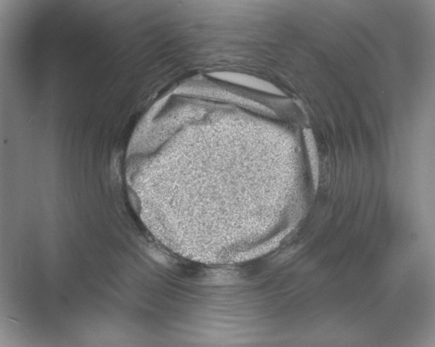 X0000068830286200606021651