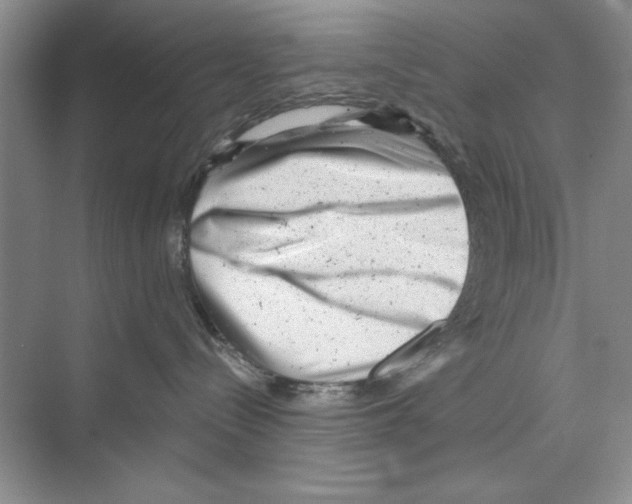 X0000068830288200606021651