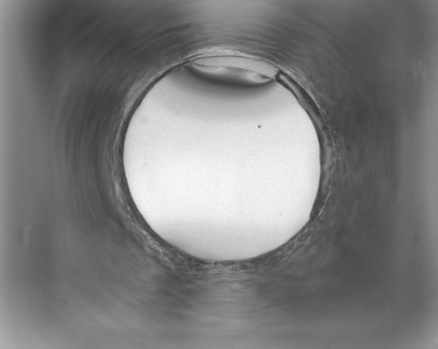 X0000068830289200606021650