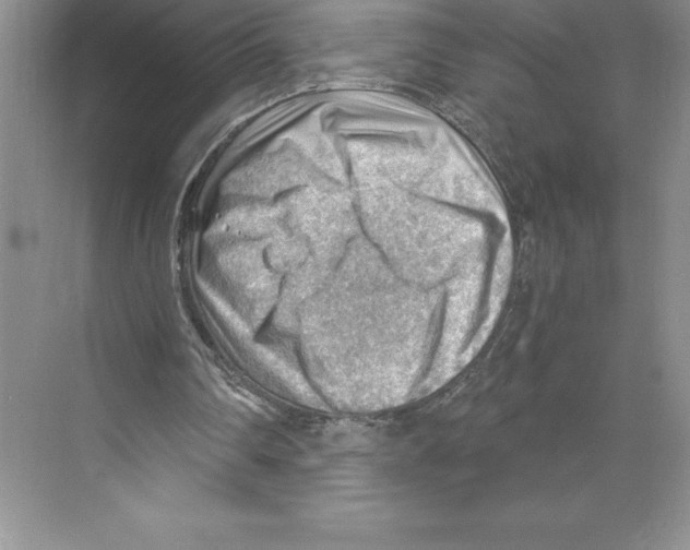 X0000068830290200606021650