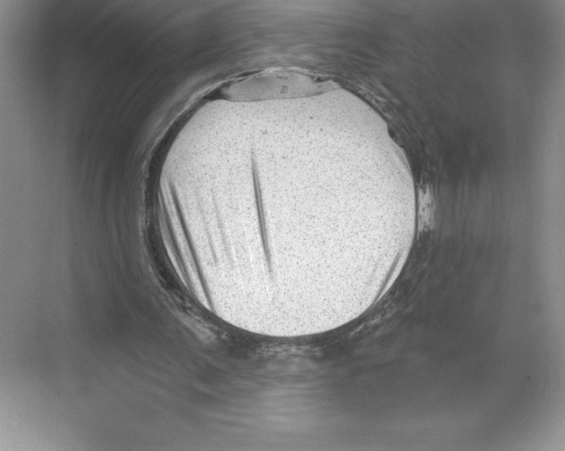 X0000068830291200606021650