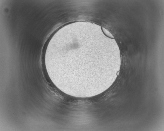 X0000068830292200606021650