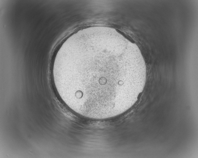 X0000068830293200606021650