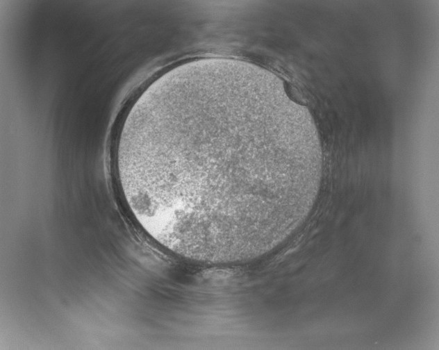 X0000068830294200606021650