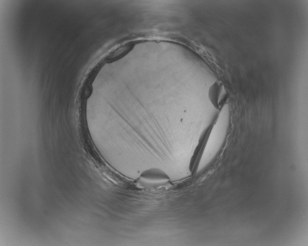 X0000068830295200606021650