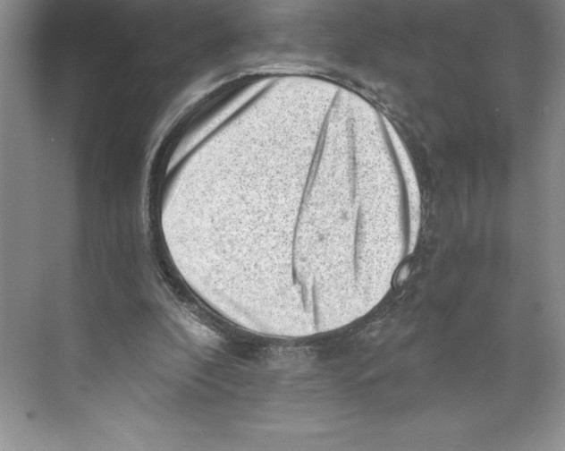 X0000068830296200606021650