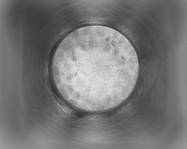 X0000068830299200606021650