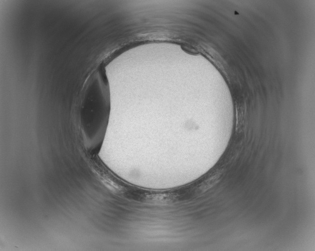 X0000068830301200606021650