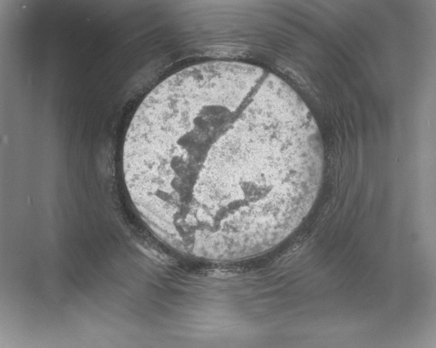 X0000068830303200606021650