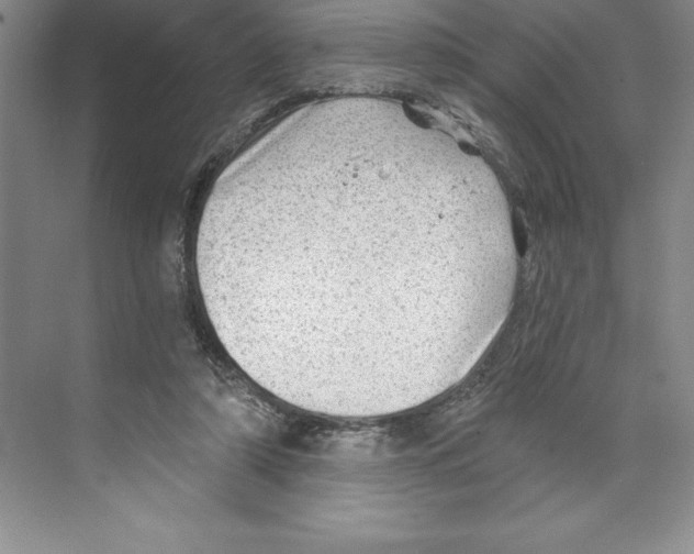 X0000068830306200606021650