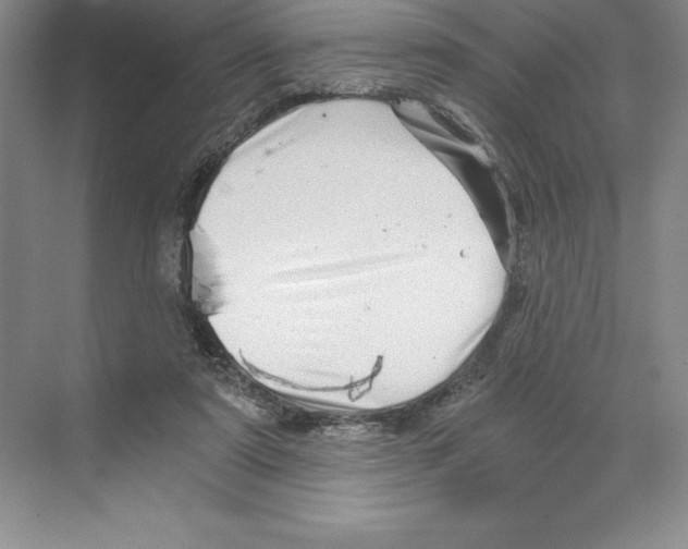 X0000068830307200606021650