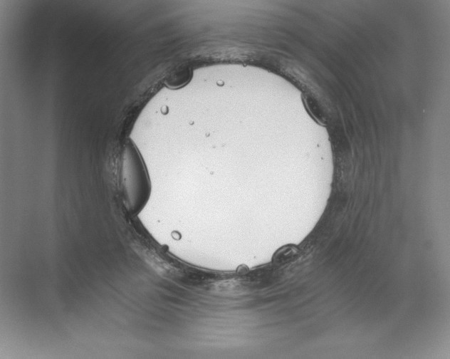 X0000068830309200606021650