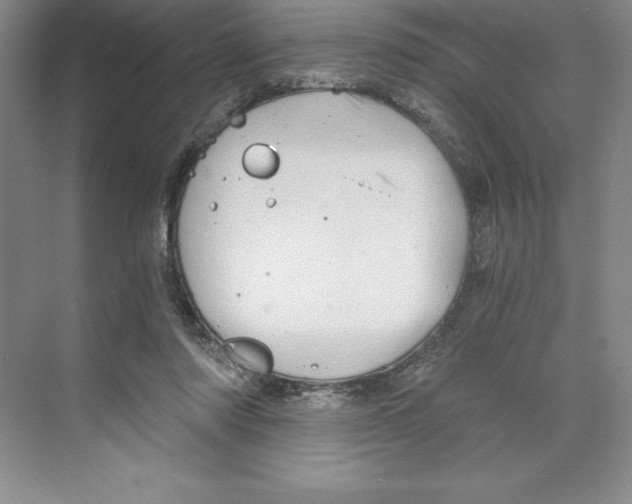 X0000068830310200606021650