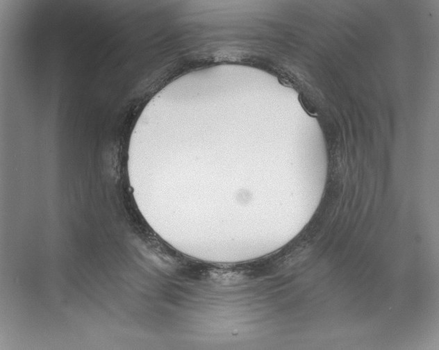 X0000068830311200606021649