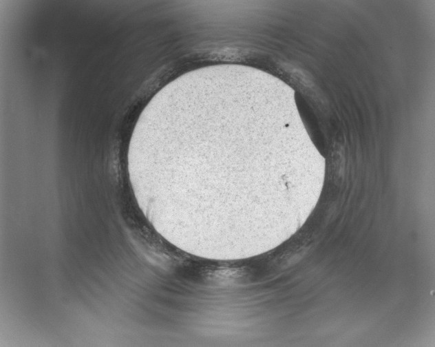 X0000068830312200606021649