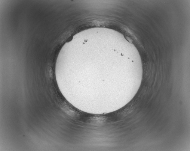 X0000068830313200606021649