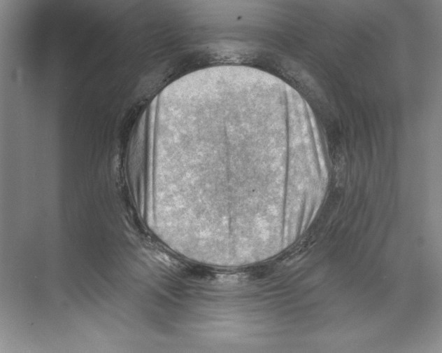 X0000068830314200606021649