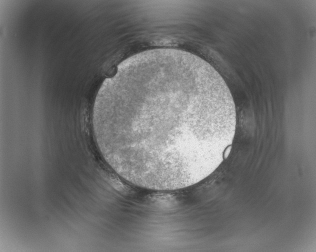 X0000068830322200606021649