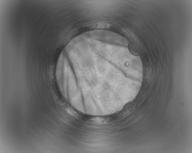 X0000068830326200606021649